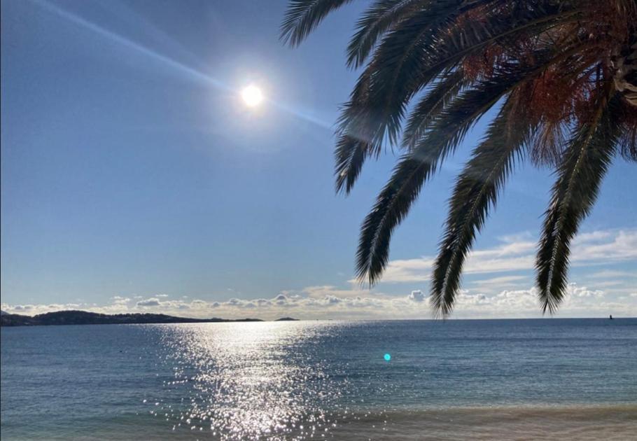 L Annexe 50m De La Bandol