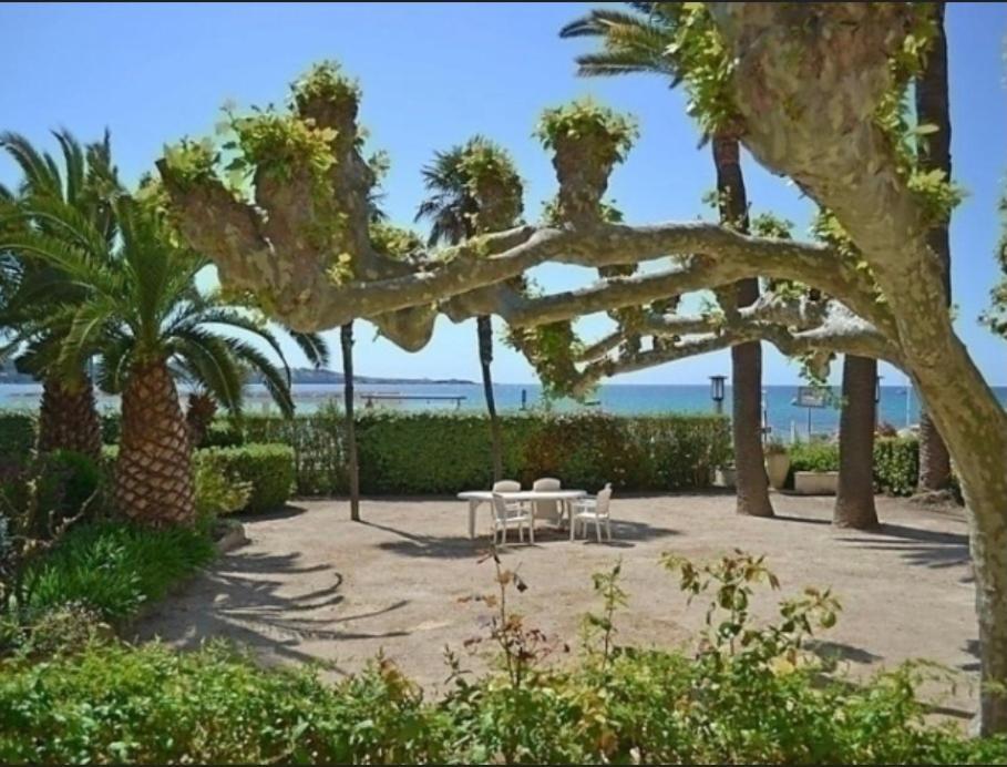 Apartment L Annexe 50m De La Bandol