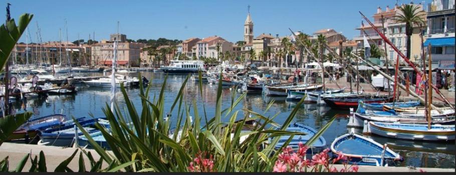 Apartment L Annexe 50m De La Bandol
