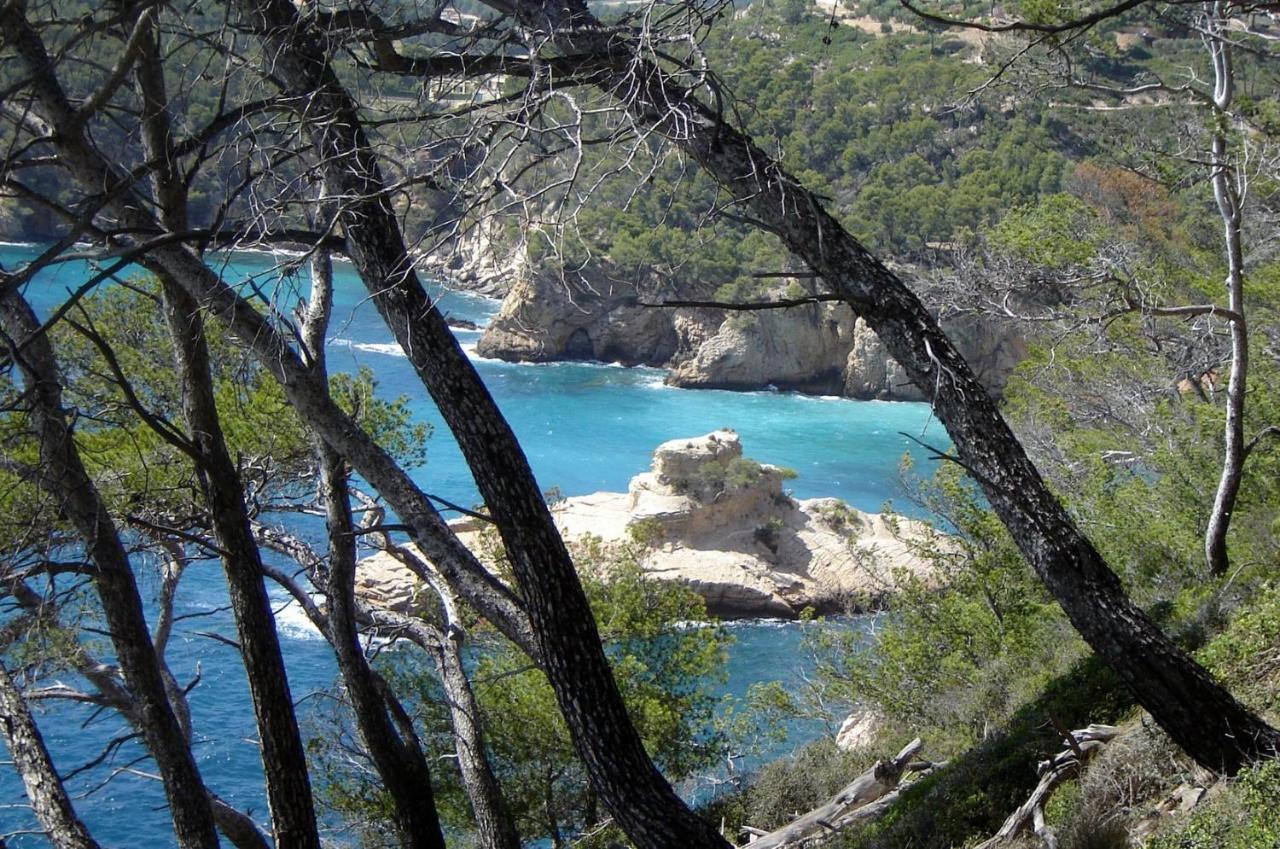 L Annexe 50m De La Bandol